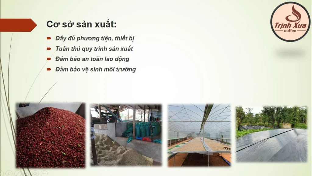 Cơ sở sản xuất và giàn phơi